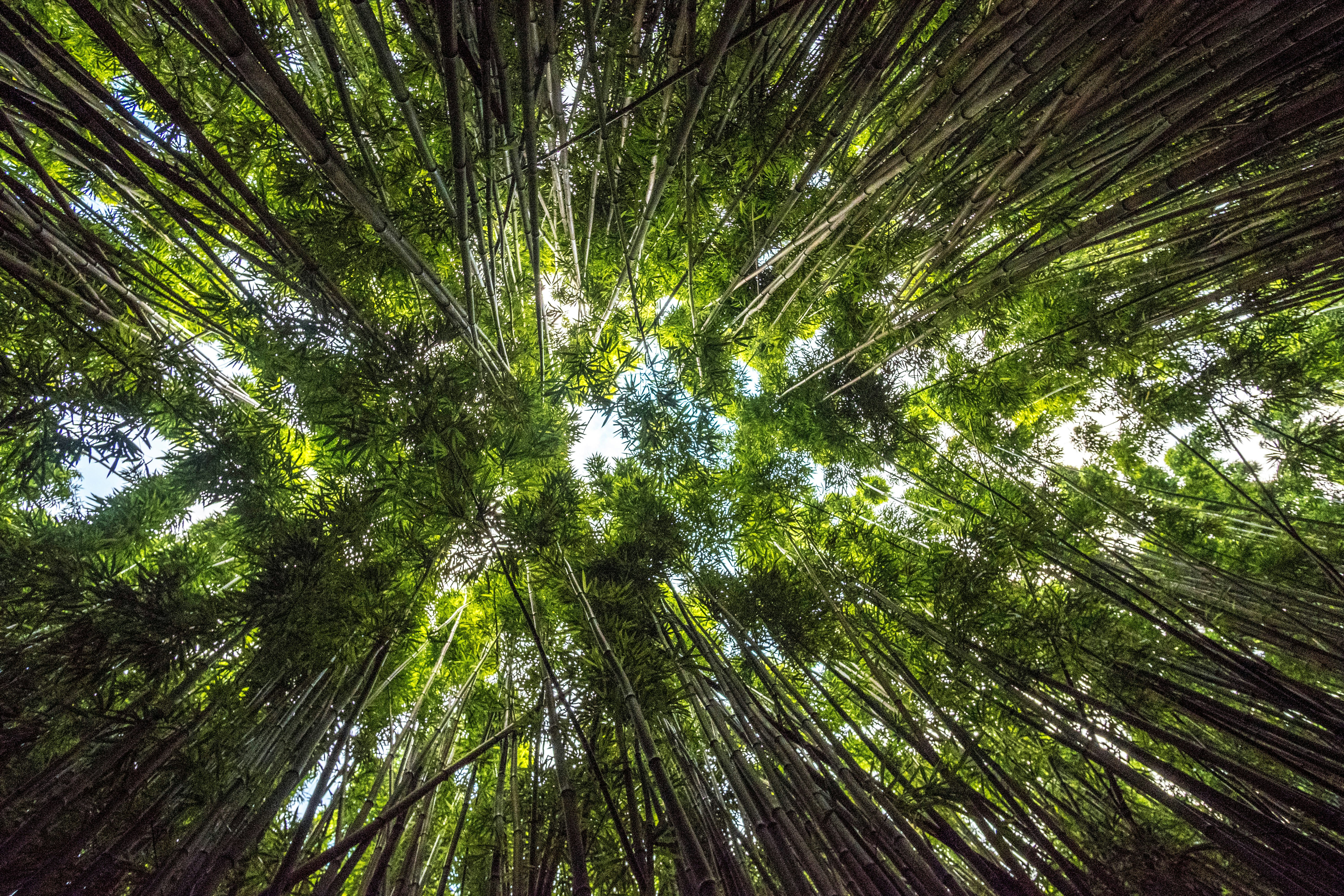Growing Evergreen Funds Despite Heightened Private Credit Scrutiny